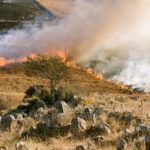 Vegetation im Mittelmeerraum - Feuer
